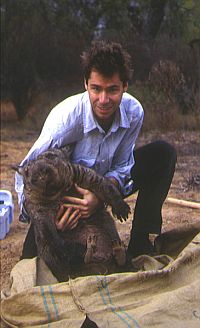 Dr. Paul Sunnucks and a northern hairy-nosed wombat